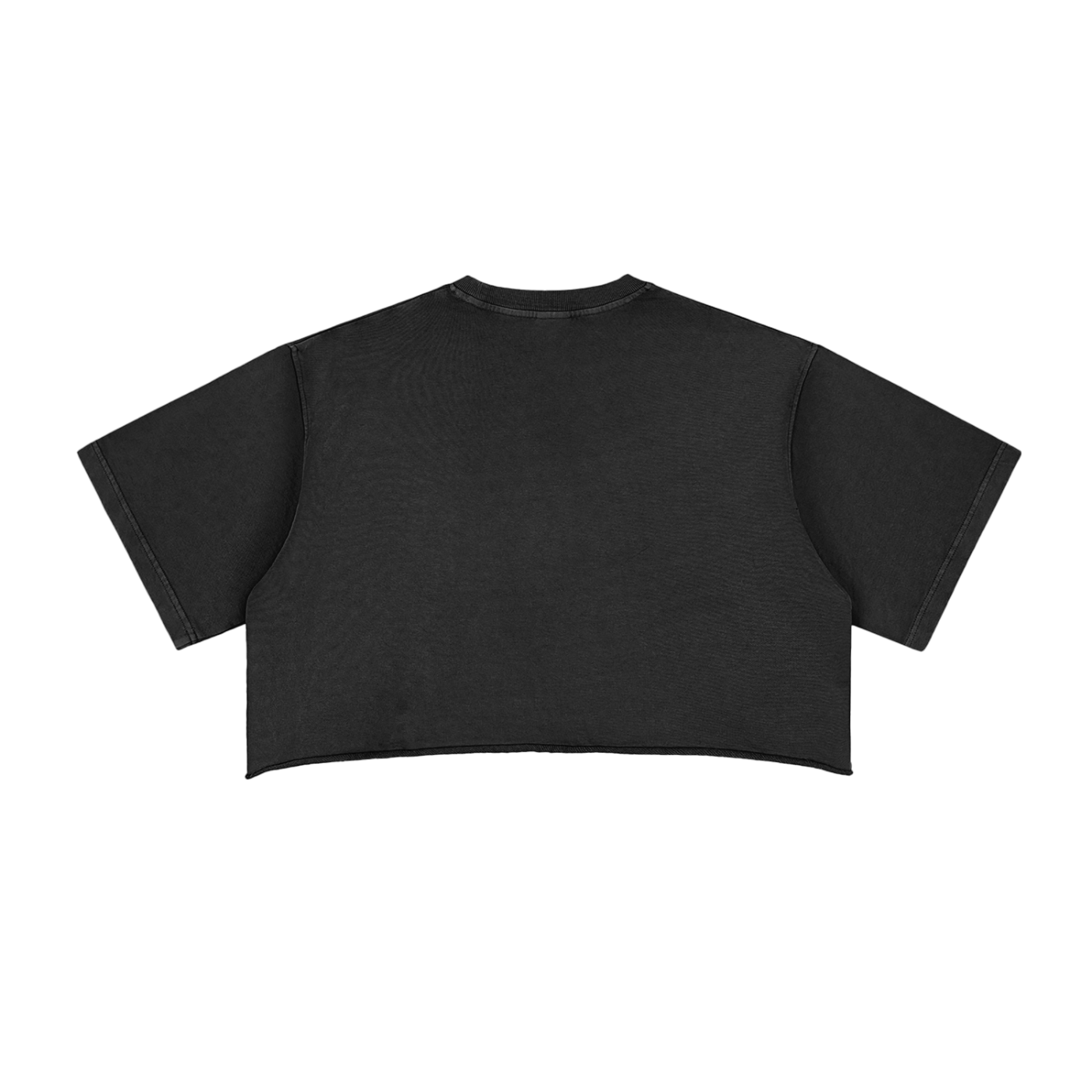 Snow Washed Raw Edge Crop Top - Lost Cause